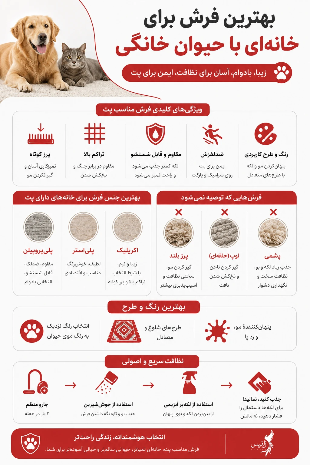 اینفوگرافیک فرش مناسب حیوانات خانگی