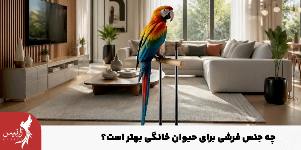 اولین قدم خرید فرش برای پت، انتخاب جنس مناسب است.