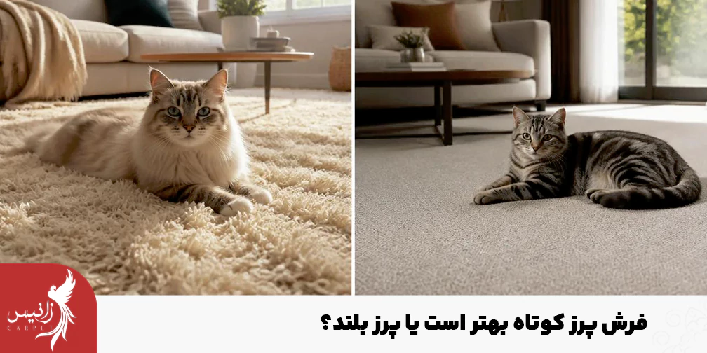 فرش پرز کوتاه انتخاب مناسبی برای پت شما است.