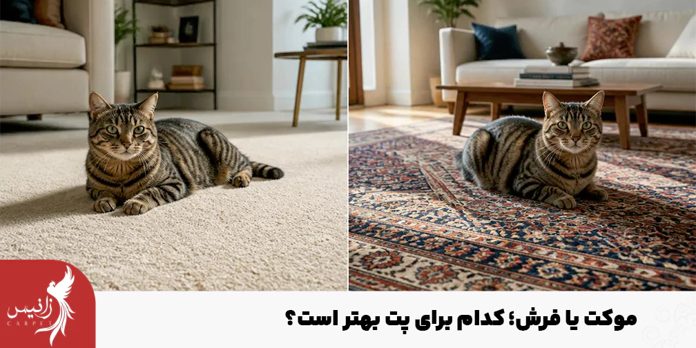 مزایا فرش نسبت به موکت برای کسانی که سگ یا گربه دارند بیشتر است.